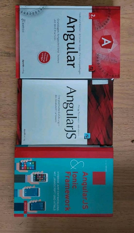 Fachbücher Angular in Alveslohe