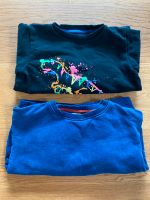 ❤️ NEXT Pullover Pulli 104  Dinosaurier Hessen - Kassel Vorschau