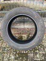 4 Reifen Sommerreifen Nexen N'Fera SU1 215/55R17 215 / 55 R 17 Bielefeld - Senne Vorschau