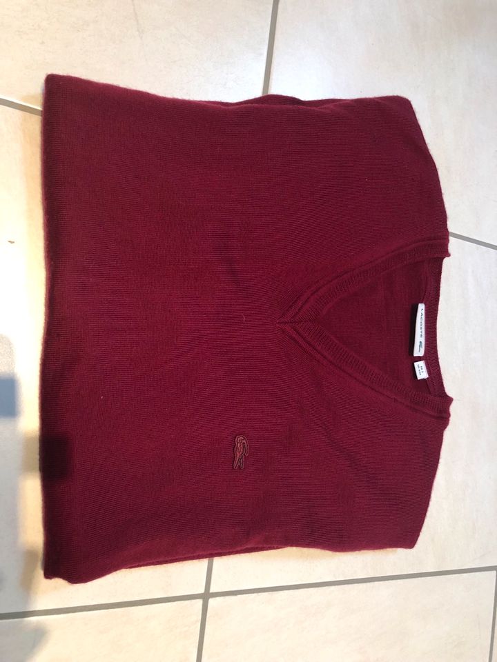 LACOSTE Pullover in XXL in rot in Feucht