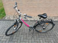 Fahrrad Pegasus Avanti Nordrhein-Westfalen - Erkrath Vorschau