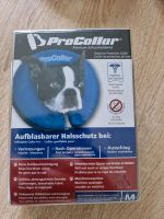 Pro Collar Halskragen M Halsumfang 23 - 33 cm Nordrhein-Westfalen - Höxter Vorschau