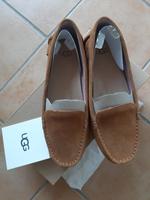 UGG, Loafer, Slipper, Mokassin, Größe 37, NEU Pankow - Prenzlauer Berg Vorschau