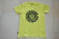 BVB Dortmund T- Shirt Gr. 164 Borussia Dortmund gelb Nordrhein-Westfalen - Ascheberg Vorschau