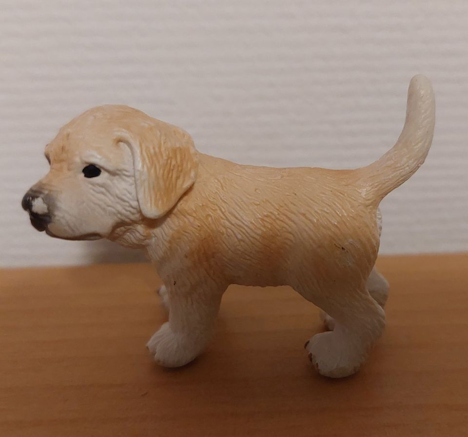 Schleich 13638 Katze, 16343 Schäferhund, 16378 Golden Retriever in Löwenstein