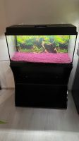 Aquarium 80cm 112 Liter komplett Schrank Außenfilter Thüringen - Sonneberg Vorschau