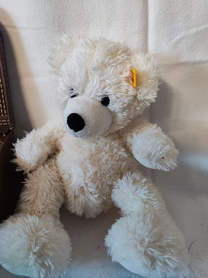 Steiff Teddy Lotte im Koffer 111464 in Füssen