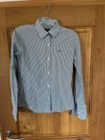 Damenbluse Tommy Hilfiger XL Nordrhein-Westfalen - Warburg Vorschau