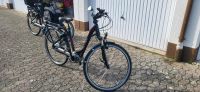 Flyer E-Bike 2 stück wenig Km. Sehr guter Zustand Rheinland-Pfalz - Weisenheim am Berg Vorschau