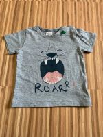 Fred’s World by Green Cotton T-Shirt „Roarr!!“ 74 Bayern - Forchheim Vorschau