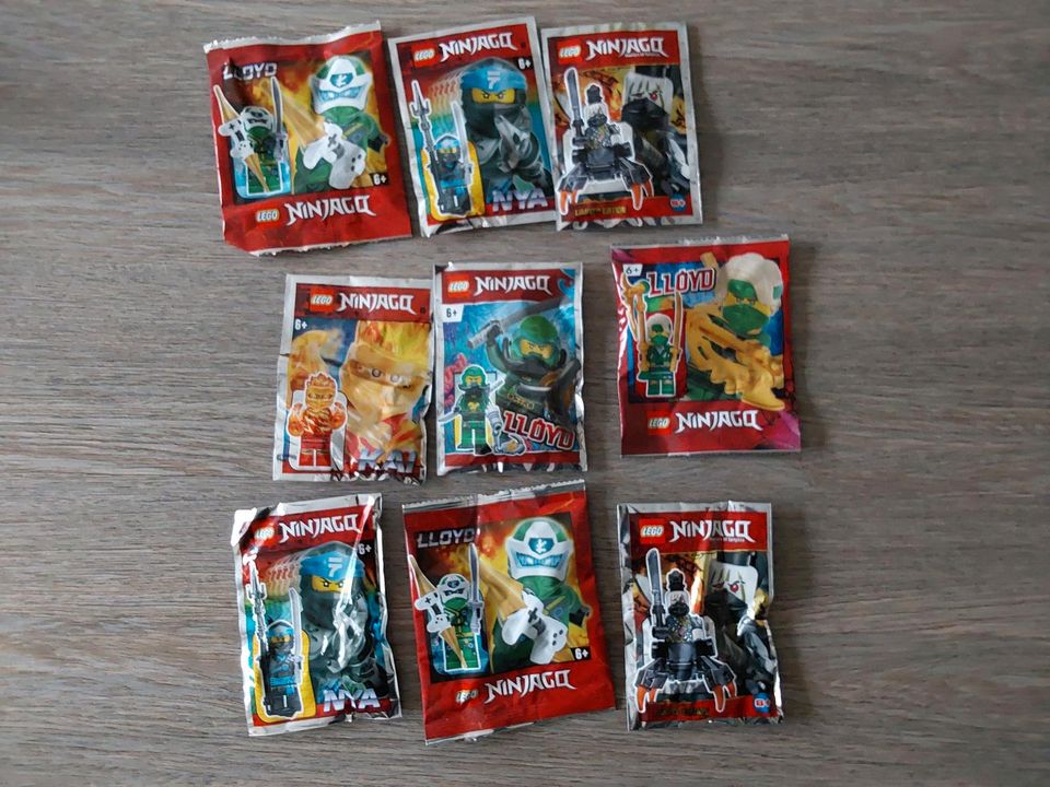 Lego Ninjago Figuren in Wandlitz