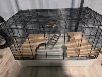 Hamster/Mäuse Käfig mit Zubehör Nordrhein-Westfalen - Witten Vorschau
