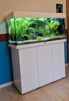 Juwel Aquarium Rio 180 LED helialux skimmer Brandenburg - Falkensee Vorschau