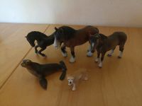 Schleich Tiere, Hund, Pferd, Seelöwe Schleswig-Holstein - Westerrönfeld Vorschau