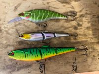 Daiwa Prorex Swimbaits und Wobbler Rheinland-Pfalz - Oppenheim Vorschau