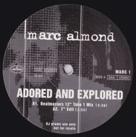 ⭐️1995 House Trance 12“⭐️Marc Almond - Beatmaster Mix (Promo) Bayern - Graben (Lechfeld) Vorschau