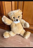 Original Steiff Molly Teddy - ca 50cm unbespielt / sehr gut Hessen - Schwalbach a. Taunus Vorschau