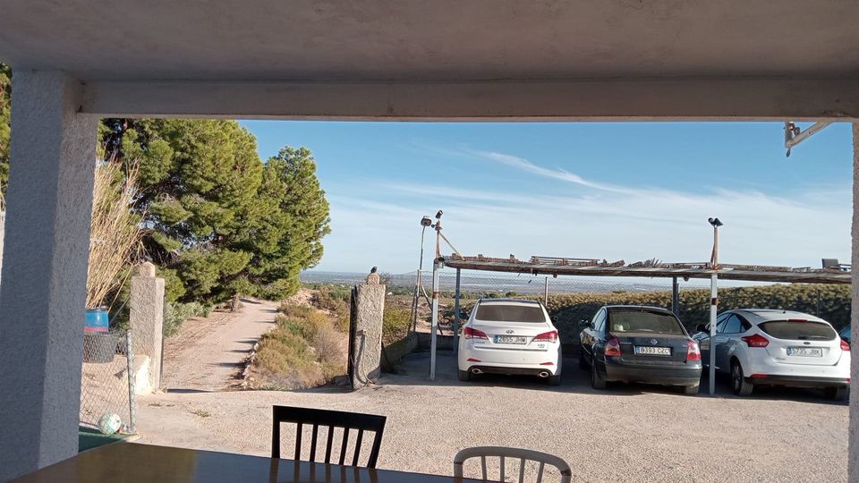 Landhaus in Crevillente (Alicante) mit 4 Schlafzimmern, Pool, Carport und Sommerküche, nur 30 Minuten vom Strand, Costa Blanca / Spanien in Oyten