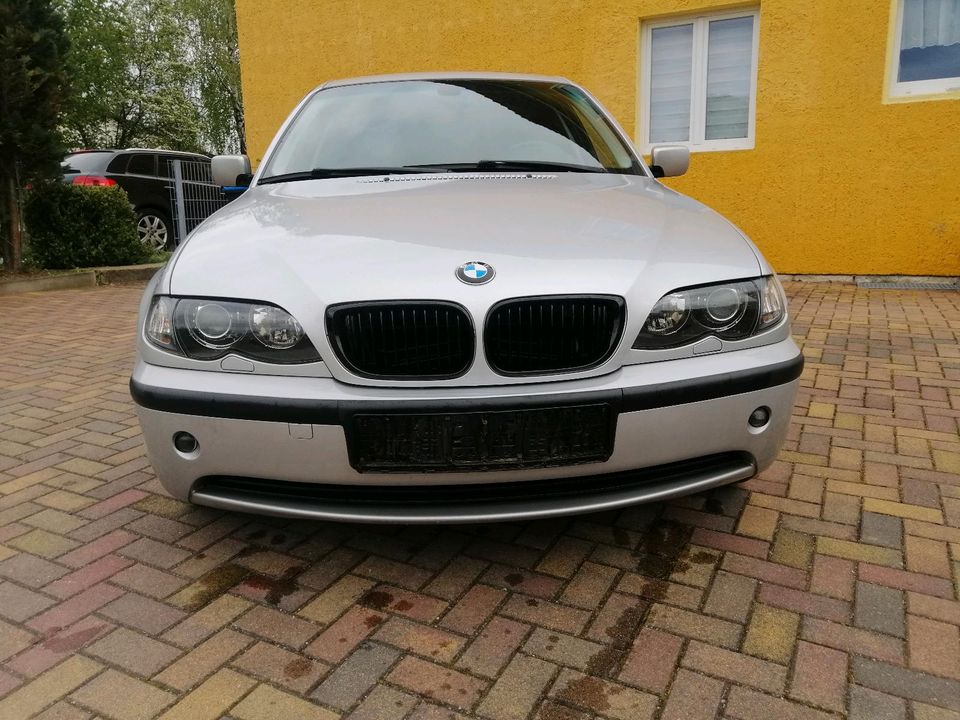 BMW E46 320i in Struppen