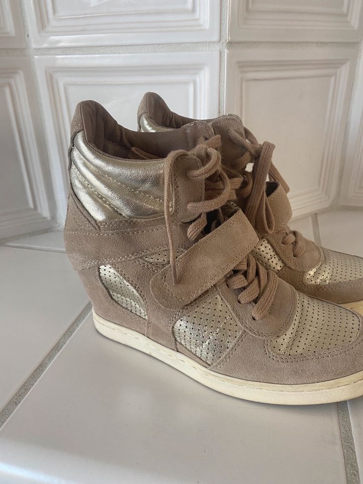 ASN Schuhe Plateau Sneaker gold beige 40 in Karlshuld