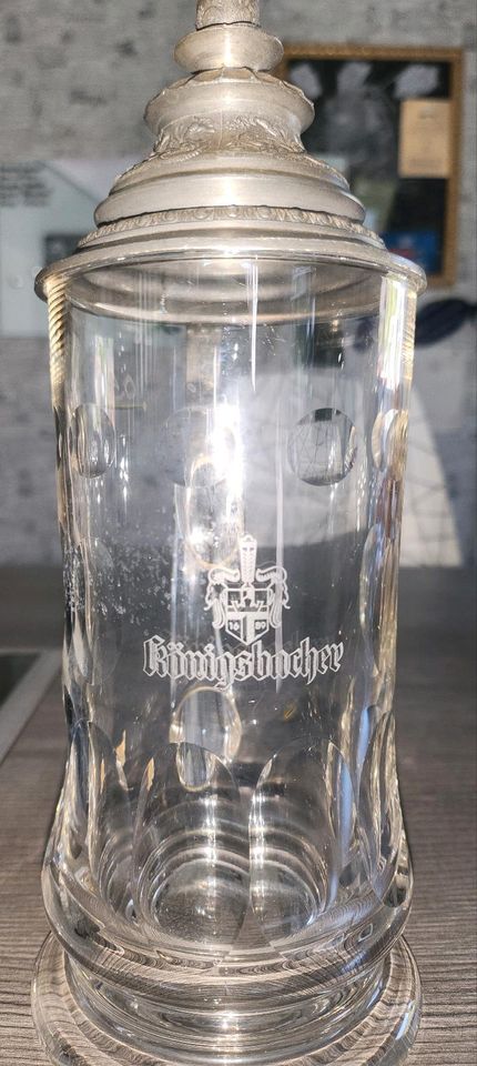 Humpen Bierkrüge Zinn Glas Steingut in Dillingen (Saar)