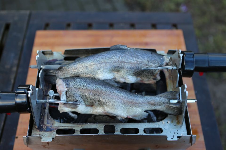 Zubehör für Skotti Grill, Windschutz - Schaschlik - Hähnchen in Fladungen