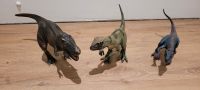 Schleich Dinosaurier Figuren groß Nordrhein-Westfalen - Hürth Vorschau