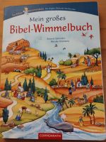 Der kleine Himmelsbote: Mein großes Bibel-Wimmelbuch Düsseldorf - Bilk Vorschau