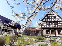 Wundervolle Zimmer in idyllischer Landpension Erzgebirge Sachsen - Crimmitschau Vorschau