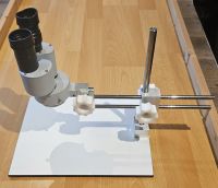 Stereomikroskop Mikroskop Modellbau Elektronik Werkstatt Münzen Niedersachsen - Georgsmarienhütte Vorschau