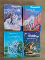 SET 4 Bücher gebunden Linda Chapman Elfen und Einhörner Mädchen Niedersachsen - Wildeshausen Vorschau