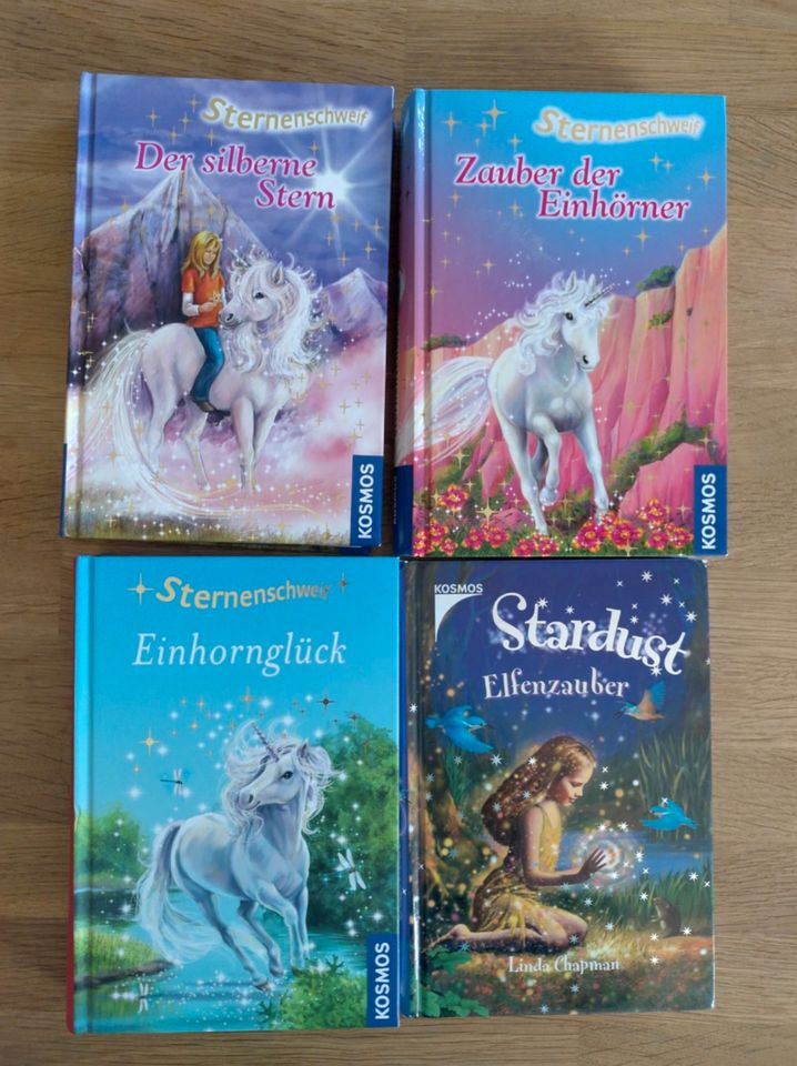 SET 4 Bücher gebunden Linda Chapman Elfen und Einhörner Mädchen in Wildeshausen