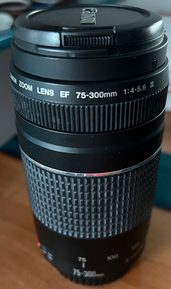 Canon EF 75-300mm f/4-5.6 III Objektiv in Bayern - Dürrlauingen | eBay  Kleinanzeigen ist jetzt Kleinanzeigen