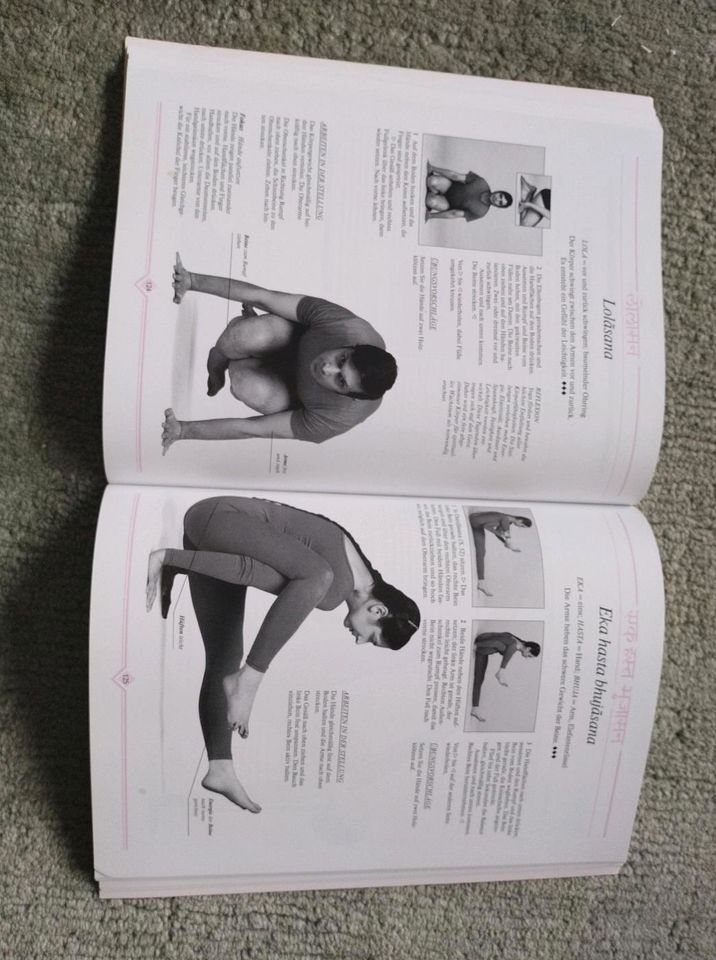 YOGAHANDBUCH   IYENGAR Methode in Homburg