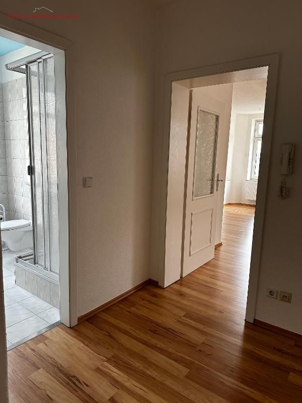 Geräumige renovierte 2-Raum-Wohnung in Glauchau