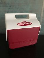 Igloo Playmate mini Kühlbox rot weiß Lunchbox Dresden - Loschwitz Vorschau