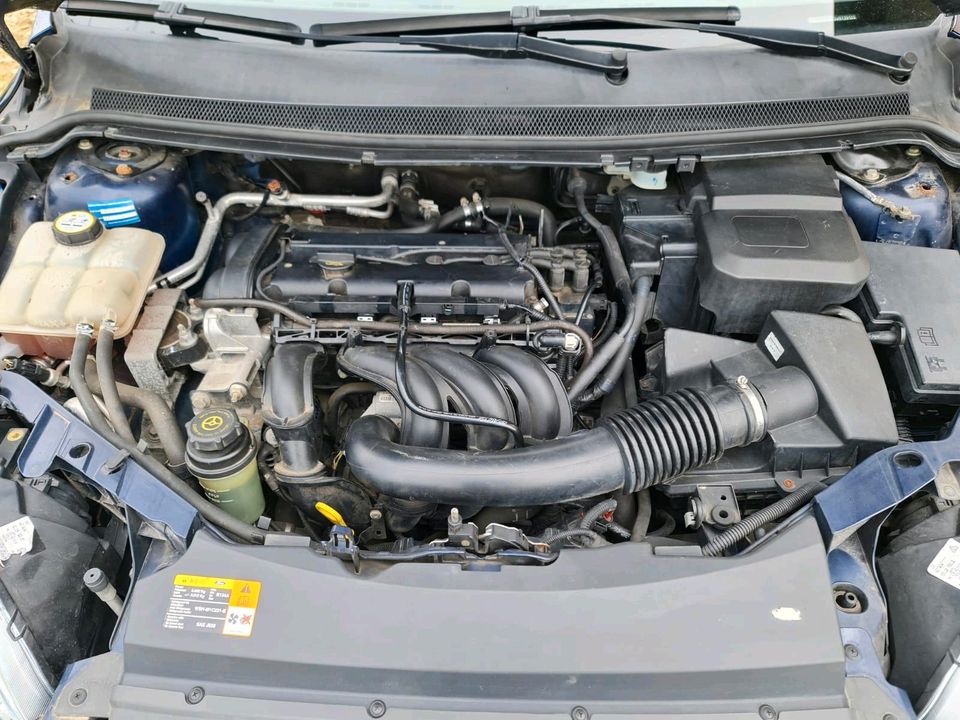 Ford Focus 1,6 Tüv  Klima Anhängerkupplung in Cham