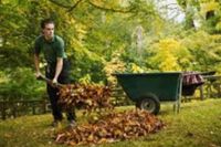 Suche ein kleinen Job um mein Taschengeld aufzubessern Nordrhein-Westfalen - Gütersloh Vorschau