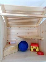 Hamstervilla aus Holz *Neu*self-made Dresden - Innere Altstadt Vorschau