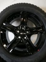 4x Brandneu 205 60 R16 92H Firestone Winterreifen Toyota Nissan Nordrhein-Westfalen - Detmold Vorschau