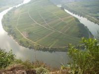 Ferienwohnung an der Mosel Rheinland-Pfalz - Ediger-Eller Vorschau