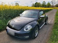 VW Beetle 50s Edition Cabrio Nordrhein-Westfalen - Hattingen Vorschau