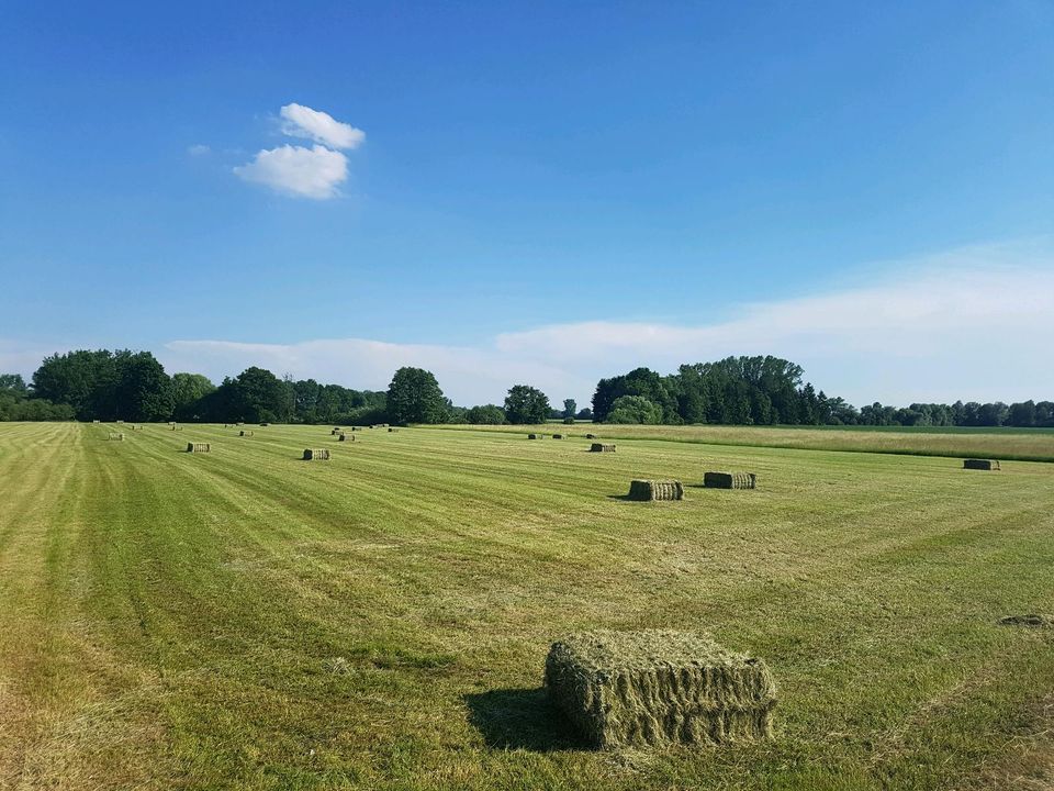 Acker - Grünland, Wiesen - Flächen pachten in Langenpreising