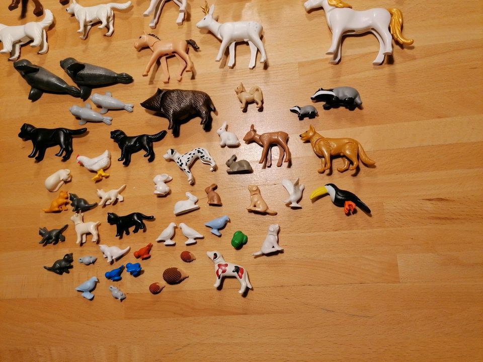 Playmobil Tiere in Braunschweig