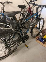 Fahrrad für Herren Brandenburg - Eberswalde Vorschau