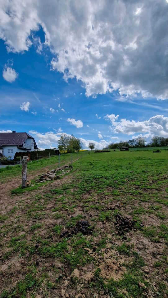 Pferdehof in Ortsrandlage/ Sanierungsobjekt in Bebra