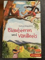 Kinderbuch Blaubeeren und Vanilleeis Nordrhein-Westfalen - Hennef (Sieg) Vorschau