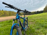 Stevens Fahrrad Furious 18" Rahmen 27,5" Laufräder blau Niedersachsen - Rosengarten Vorschau