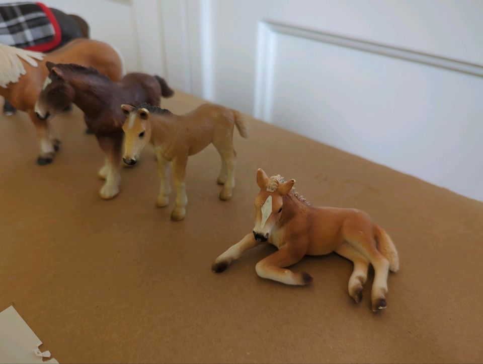 5 Schleich Pferde in Seelze