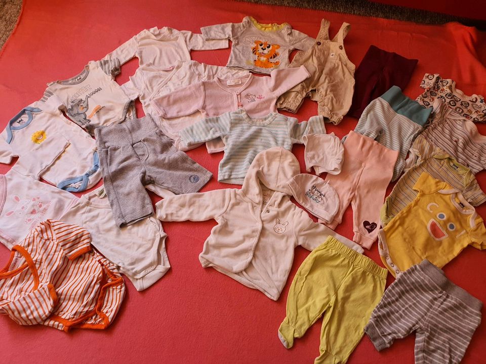 Bekleidungspaket Baby Gr.50/56  (23 Teile) in Sangerhausen